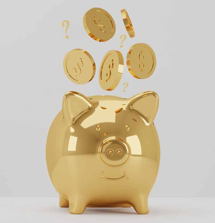 Piggy bank with coins